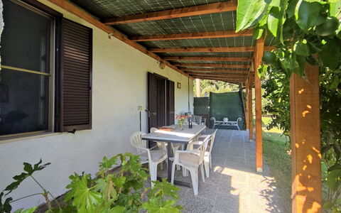 Country House: Plante, Propriété, Bâtiment, Table, Fenêtre, Ombre, Bois, Botanique, Design Intérieur, Mobilier De Jardin
