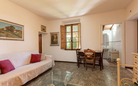 Country House: Meubles, Canapé, Cadre, Table, Bois, Sol, Salon, Sol, Chaise, Fenêtre