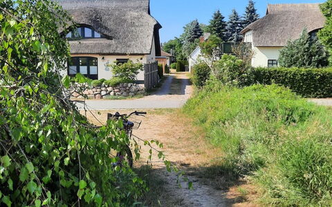 Fischerbungalow: Plante, Ciel, Propriété, Communauté Des Plantes, Paysage Naturel, Fenêtre, Bâtiment, Lot Terre, Maison, Arbre