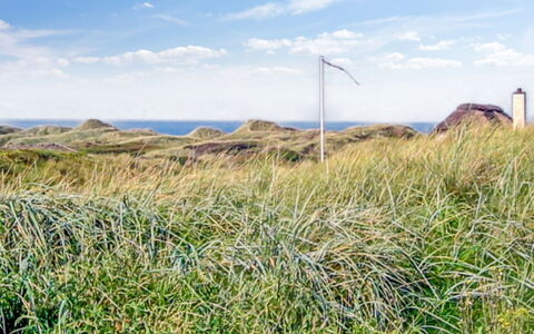Hoat - 300M from the Sea: Ciel, Bleu, Herbe, Vert, Végétation, Prairie, Écorégion, Communauté Des Plantes, Lot Terre, Formations Arbustives
