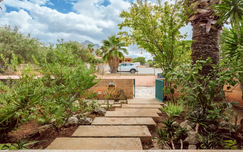 Acquamarina Gaia: Plante, Nuage, Ciel, Propriété, Bâtiment, Escaliers, Arbre, Arecales, Herbe, Immobilier