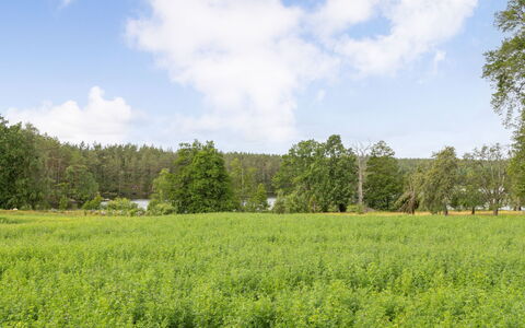 Skogstorpet: Fenêtre, Bâtiment, Bleu Azur, Bois, Sol, Confort, Maison, Sol, Salle
