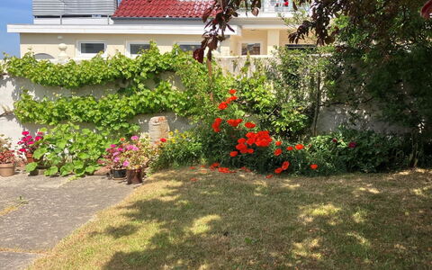 Merete - 50M from the Sea: Toit, Maison, Domicile, Chalet, Siding, Biens, Allée, Batiments Jardin, Cour, Cabanon