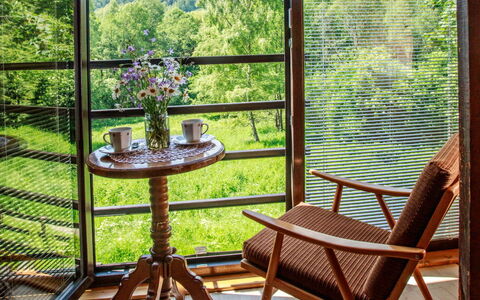 Dolní Jílovice: Plante, Fleur, Pot De Fleur, Ciel, Porche, Bois, Arbre, Design Intérieur, Lumière Du Soleil, Plante D'Appartement