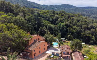 Castagneto Carducci 300