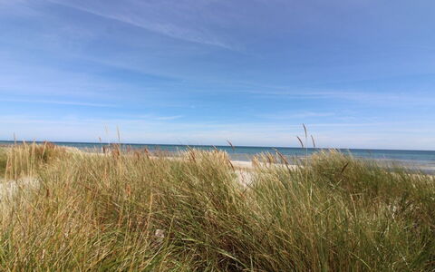 Alita - 300M from the Sea: Bois, Meubles, Appartement, Pièce, Plafond, Tache De Bois, Chaise, Dur, Vernis, Lumber