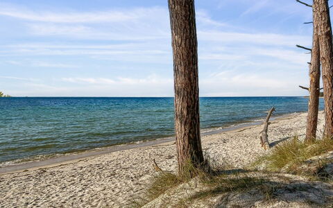 Alita - 300M from the Sea: Bois, Meubles, Appartement, Pièce, Plafond, Tache De Bois, Chaise, Dur, Vernis, Lumber