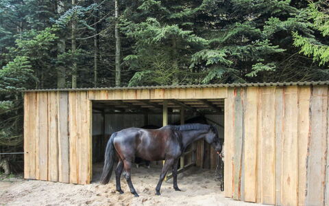 Thana - 8Km from the Sea: Maison, Domicile, Porte, Toit, Chalet, Biens, Jardin, Ombre, Siding, Cour