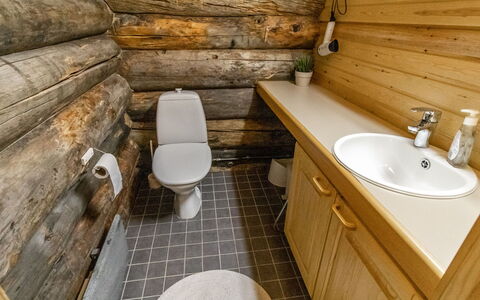 Villihanhi: Bois, Siège De Toilette, Luminaire Plomberie, Sol, Toilette, Sol, Salle De Bains, Lavabo, Plomberie, Évier