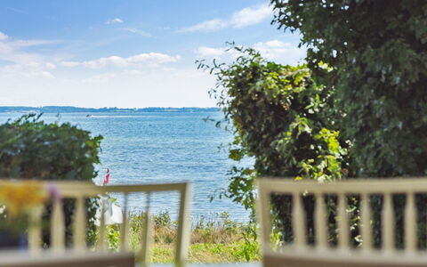 Snari - 10M from the Sea: Sol, Mur, Sol, Design Intérieur, Bois, Plafond, Parquet, Éclairage, Meubles, Revêtement De Sol Stratifié