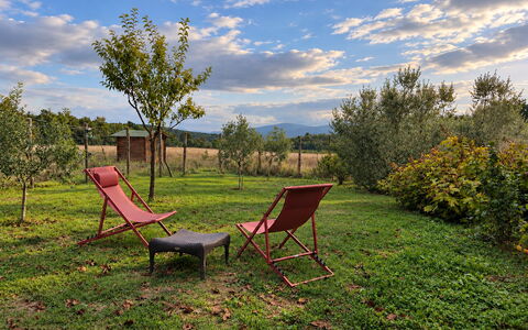 Alice - Podere Ribatti - Casole D'elsa, Toscana: Herbe, Feuille, Paysage Naturel, Paysage, Été, Lot Terre, Plaine, Meubles, Zone Rurale, Jardin