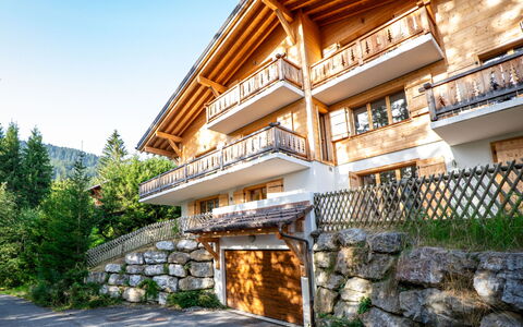 Dipankar: Plante, Ciel, Bâtiment, Fenêtre, Escaliers, Maison, Arbre, Bois, Zone Résidentielle, Loisir