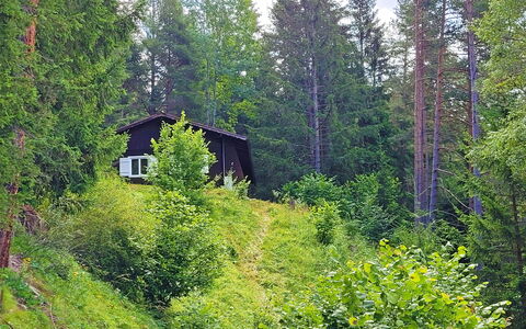 Lieblingsplatz: Plante, Fenêtre, Paysage Naturel, Arbre, Bois, Mélèze, Maison, À Feuilles Persistantes, Terrestre Des Plantes, Couverture De Sol