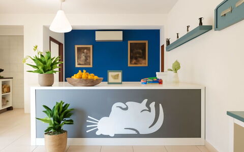 L'Oasi della Gatta Panciona: Design Intérieur, Autocollant Mural, Meubles, Cuisine, Peindre, Comptoir, Pièce, Cabinetry, Plafond, Conception