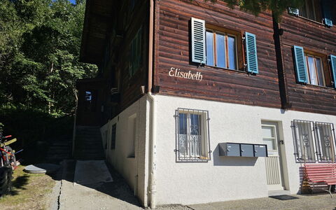Elisabeth: Plante, Fenêtre, Bâtiment, Arbre, Bois, Façade, Surface De La Route, Design Urbain, Usage Mixte