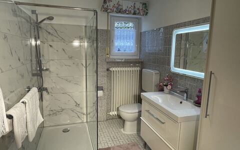 Spatzenparadies: Luminaire Plomberie, Évier, Miroir, Propriété, Armoire De Toilette, Robinet, Cabinetry, Salle De Bains, Tete De Douche, Panneau De Douche