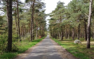 Helmi - 1Km from the Sea