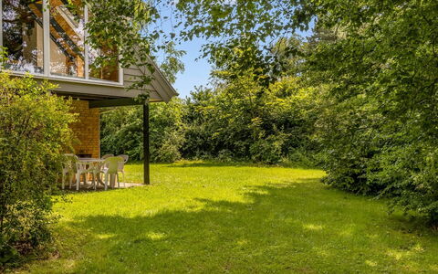Calla - 250M from the Sea: Herbe, Feuille, Branche, Arbuste, Lot Terre, Jardin, Domicile, Chalet, Pelouse, Couverture De Sol