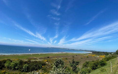 Enwald - 275M from the Sea: Herbe, Vert, Maison, Chalet, Prairie, Zone Rurale, Écorégion, Paysage, Lot Terre, Arbuste