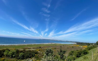Enwald - 275M from the Sea