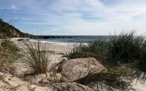 Lucie - 50M from the Sea: Environnement Naturel, Côte, Plage, Rive, Roche, Cotiers Et Relief Océaniques, Mer, Le Sable, Océan
