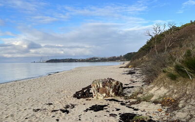 Lucie - 50M from the Sea