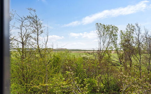 Othinkarl - 1Km from the Sea: Herbe, Prairie, Paysage, Écorégion, Plaine, Communauté Des Plantes, Lot Terre, Mobilier De Jardin, Prairie, Formations Arbustives