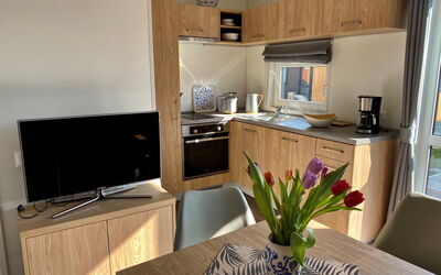 Logement:&nbsp;Tiny Haus Waldsee Lodge 200.21