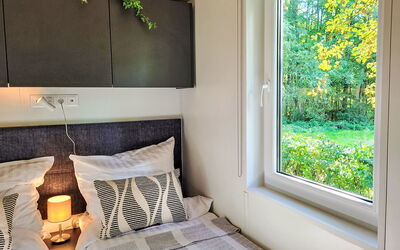 Logement:&nbsp;Tiny Haus Soul & Lake 200.4