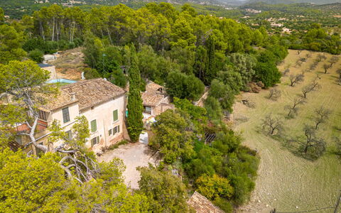 Sa Bisbal: Bâtiment, Plante, Communauté Des Plantes, Fenêtre, Vert, Paysage Naturel, Arbre, Maison, Lot Terre, Végétation