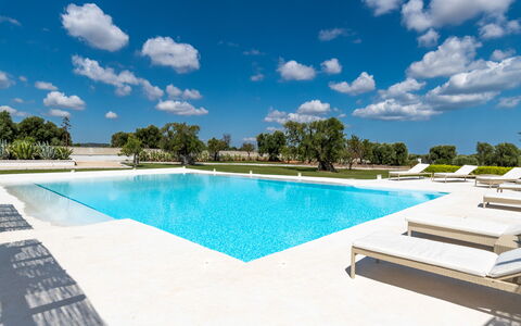 Masseria Isaia: L'Eau, Nuage, Ciel, Piscine, Bleu Azur, Arbre, Mobilier De Jardin, Ombre, Plante, Loisir