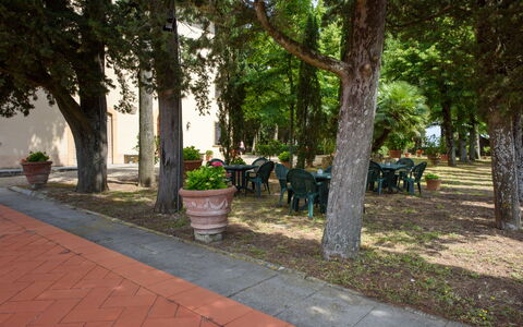 Villa Badiuzza: Plante, Arbre, Pot De Fleur, Surface De La Route, Ombre, Design Urbain, Herbe, Loisir, Ville, Des Loisirs