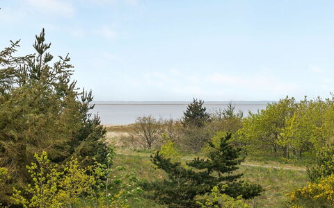 Jonne - 200M to the Fjord: Ciel, Feuille, Environnement Naturel, Végétation, Paysage Naturel, Arbuste, Écorégion, Communauté Des Plantes, Prairie, Paysage