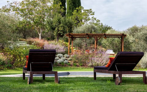 Villa Della Regina: Plante, Extérieur Banc, Meubles, Fleur, Botanique, La Nature, Ombre, Mobilier De Jardin, Arbre
