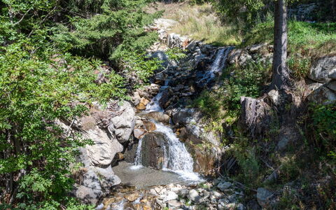 Avise 400: L'Eau, Plante, Communauté Des Plantes, Paysage Naturel, Substrat Rocheux, Cascade, Printemps, Plan D'Eau, Cours D'Eau