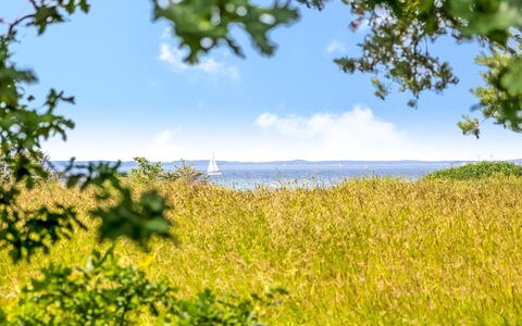 Thara - 100M from the Sea: Ciel, Bleu, Vert, Jour, Végétation, Jaune, Horizon, Été, Prairie, Paysage Naturel
