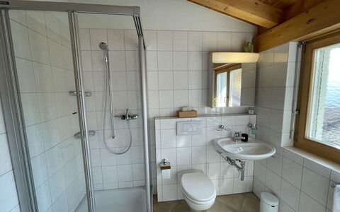 Penthouse Brugg: Miroir, Luminaire Plomberie, Évier, Robinet, Salle De Bains, Bâtiment, Fenêtre, Porte De Douche, Lavabo