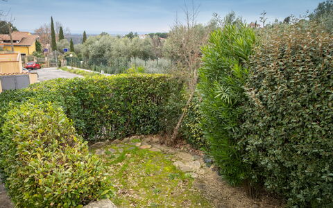 Montescudaio 300: Arbuste, Haie, Suppression Des Plantes Ligneuses, Jardin, Plantation, Aménagement Paysager, À Feuilles Persistantes, Passerelle, Herbe