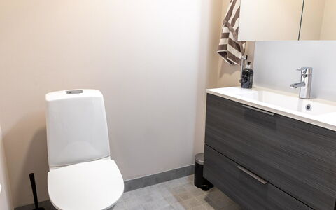 Saanan Helmi: Sol, Sol, Design Intérieur, Siège De Toilette, Toilette, Armoire De Toilette, Luminaire Plomberie, Salle De Bains, Plomberie, Pièce