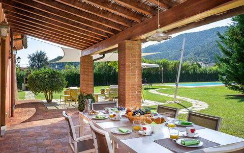 Le Vigne 4: Table, Plante, Meubles, Vaisselle, Propriété, Pot De Fleur, Chaise, Ombre, Design Intérieur, Mobilier De Jardin