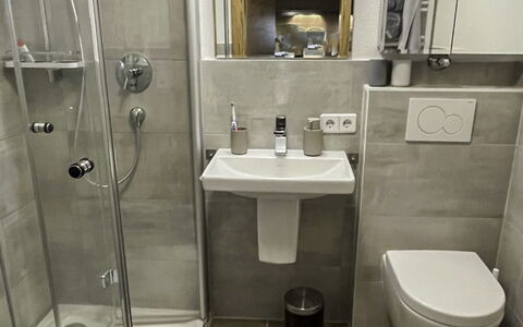 Seefeld in Tirol 101: Miroir, Luminaire Plomberie, Évier, Propriété, Lavabo, Robinet, Salle De Bains, Bâtiment, Violet