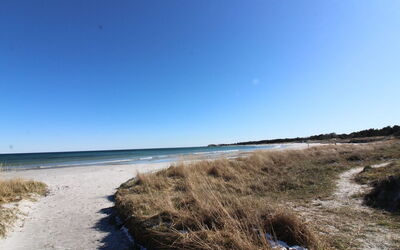 Kirsi - 200M from the Sea