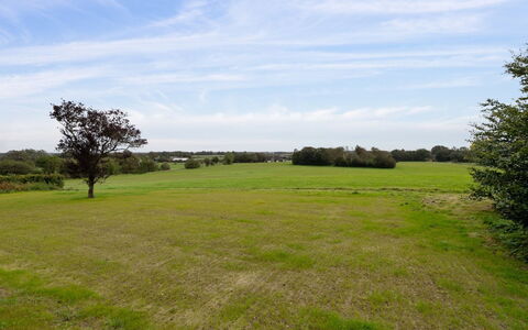 Landuin - 30Km from the Sea: Herbe, Prairie, Paysage, Écorégion, Plaine, Communauté Des Plantes, Lot Terre, Mobilier De Jardin, Prairie, Formations Arbustives