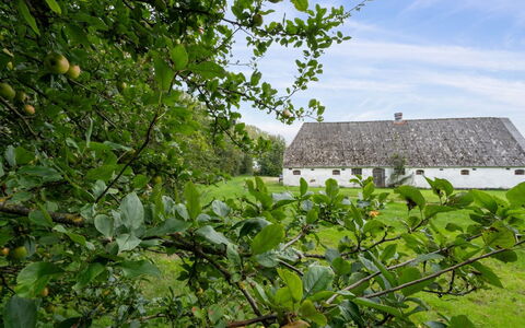 Landuin - 30Km from the Sea: Herbe, Prairie, Paysage, Écorégion, Plaine, Communauté Des Plantes, Lot Terre, Mobilier De Jardin, Prairie, Formations Arbustives