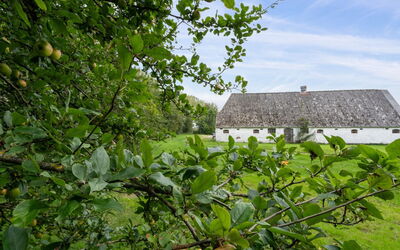 Landuin - 30Km from the Sea
