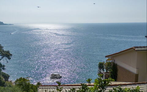 A Due Passi da Camogli 2, Seaview, Wifi: L'Eau, Ciel, Bâtiment, Bleu Azur, Végétation, Cotiers Et Relief Océaniques, Plante, Matin, Horizon, Maison