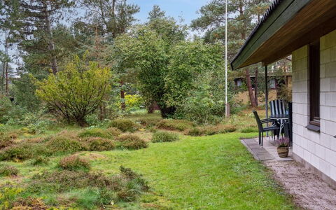 Fulla - 650M from the Sea: Herbe, Végétation, Arbuste, Jardin, Communauté Des Plantes, Lot Terre, Couverture De Sol, Chalet