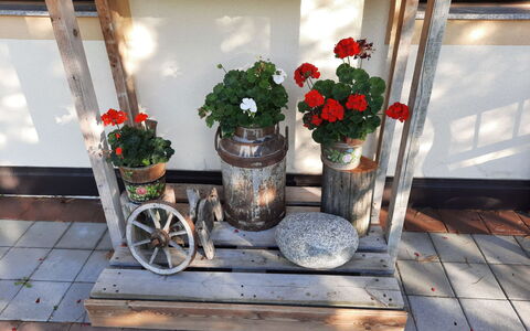 Neukirchen am Großvenediger 700: Fleur, Plante, Propriété, Pot De Fleur, Bâtiment, Table, Plante D'Appartement, Fenêtre, Vase, Bois