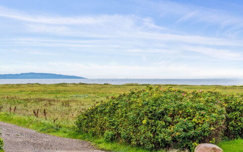 Benni - 75M to the Fjord: Herbe, Vert, Maison, Chalet, Prairie, Zone Rurale, Écorégion, Paysage, Lot Terre, Arbuste