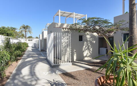Velsuites 4: Ciel, Plante, Communauté Des Plantes, Bleu Azur, Arecales, Arbre, Lot Terre, Design Urbain, Quartier, Paysage